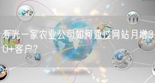 寿光一家农业公司如何通过网站月增30+客户？